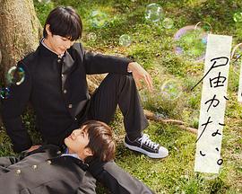 泛页面关键词4008